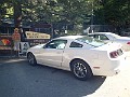 2014 Mt Baldy Cali 009
